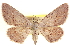 ( - CCDB-20802-C05)  @11 [ ] CreativeCommons - Attribution (2013) CBG Photography Group Centre for Biodiversity Genomics