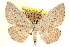  ( - CCDB-20802-C07)  @11 [ ] CreativeCommons - Attribution (2013) CBG Photography Group Centre for Biodiversity Genomics