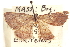  ( - CCDB-20802-C09)  @11 [ ] CreativeCommons - Attribution (2013) CBG Photography Group Centre for Biodiversity Genomics