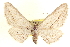  ( - CCDB-20802-D03)  @14 [ ] CreativeCommons - Attribution (2013) CBG Photography Group Centre for Biodiversity Genomics