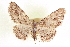  ( - CCDB-20802-H03)  @14 [ ] CreativeCommons - Attribution (2013) CBG Photography Group Centre for Biodiversity Genomics