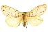  ( - CCDB-20803-F07)  @11 [ ] CreativeCommons - Attribution (2013) CBG Photography Group Centre for Biodiversity Genomics