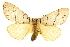  ( - CCDB-20803-F09)  @11 [ ] CreativeCommons - Attribution (2013) CBG Photography Group Centre for Biodiversity Genomics