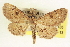  ( - CCDB-20804-A05)  @11 [ ] CreativeCommons - Attribution (2013) CBG Photography Group Centre for Biodiversity Genomics