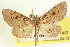  ( - CCDB-20804-A07)  @13 [ ] CreativeCommons - Attribution (2013) CBG Photography Group Centre for Biodiversity Genomics