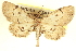  ( - CCDB-20804-A09)  @11 [ ] CreativeCommons - Attribution (2013) CBG Photography Group Centre for Biodiversity Genomics