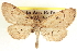  ( - CCDB-20804-A12)  @11 [ ] CreativeCommons - Attribution (2013) CBG Photography Group Centre for Biodiversity Genomics