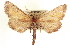  ( - CCDB-20804-B07)  @11 [ ] CreativeCommons - Attribution (2013) CBG Photography Group Centre for Biodiversity Genomics