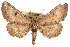  ( - CCDB-20804-B09)  @15 [ ] CreativeCommons - Attribution (2013) CBG Photography Group Centre for Biodiversity Genomics