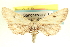  ( - CCDB-20804-B10)  @14 [ ] CreativeCommons - Attribution (2013) CBG Photography Group Centre for Biodiversity Genomics