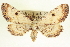  ( - CCDB-20804-B12)  @14 [ ] CreativeCommons - Attribution (2013) CBG Photography Group Centre for Biodiversity Genomics