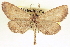  ( - CCDB-20804-C03)  @14 [ ] CreativeCommons - Attribution (2013) CBG Photography Group Centre for Biodiversity Genomics