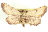  ( - CCDB-20804-C04)  @14 [ ] CreativeCommons - Attribution (2013) CBG Photography Group Centre for Biodiversity Genomics
