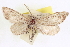  ( - CCDB-20804-E05)  @13 [ ] CreativeCommons - Attribution (2013) CBG Photography Group Centre for Biodiversity Genomics