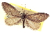  ( - CCDB-20804-E10)  @11 [ ] CreativeCommons - Attribution (2013) CBG Photography Group Centre for Biodiversity Genomics