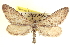  ( - CCDB-20804-E11)  @15 [ ] CreativeCommons - Attribution (2013) CBG Photography Group Centre for Biodiversity Genomics