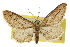  ( - CCDB-20805-E04)  @11 [ ] CreativeCommons - Attribution (2013) CBG Photography Group Centre for Biodiversity Genomics