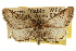  ( - CCDB-20805-E07)  @11 [ ] CreativeCommons - Attribution (2013) CBG Photography Group Centre for Biodiversity Genomics