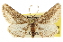  ( - CCDB-20805-G09)  @11 [ ] CreativeCommons - Attribution (2013) CBG Photography Group Centre for Biodiversity Genomics