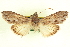  ( - CCDB-20806-A04)  @11 [ ] CreativeCommons - Attribution (2013) CBG Photography Group Centre for Biodiversity Genomics