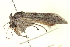  ( - CCDB-20806-A07)  @11 [ ] CreativeCommons - Attribution (2013) CBG Photography Group Centre for Biodiversity Genomics