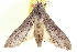  ( - CCDB-20806-A10)  @13 [ ] CreativeCommons - Attribution (2013) CBG Photography Group Centre for Biodiversity Genomics