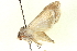  ( - CCDB-20806-A11)  @11 [ ] CreativeCommons - Attribution (2013) CBG Photography Group Centre for Biodiversity Genomics