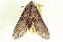  ( - CCDB-20806-B03)  @13 [ ] CreativeCommons - Attribution (2013) CBG Photography Group Centre for Biodiversity Genomics