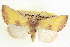  ( - CCDB-20806-C03)  @14 [ ] CreativeCommons - Attribution (2013) CBG Photography Group Centre for Biodiversity Genomics