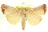  ( - CCDB-20806-C11)  @14 [ ] CreativeCommons - Attribution (2013) CBG Photography Group Centre for Biodiversity Genomics