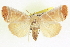  ( - CCDB-20806-D01)  @15 [ ] CreativeCommons - Attribution (2013) CBG Photography Group Centre for Biodiversity Genomics