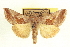  ( - CCDB-20806-D04)  @11 [ ] CreativeCommons - Attribution (2013) CBG Photography Group Centre for Biodiversity Genomics