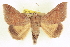  ( - CCDB-20806-D10)  @14 [ ] CreativeCommons - Attribution (2013) CBG Photography Group Centre for Biodiversity Genomics