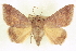  ( - CCDB-20806-D11)  @14 [ ] CreativeCommons - Attribution (2013) CBG Photography Group Centre for Biodiversity Genomics