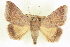  ( - CCDB-20806-D12)  @14 [ ] CreativeCommons - Attribution (2013) CBG Photography Group Centre for Biodiversity Genomics