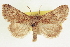  ( - CCDB-20806-E09)  @11 [ ] CreativeCommons - Attribution (2013) CBG Photography Group Centre for Biodiversity Genomics