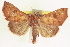  ( - CCDB-20806-F01)  @13 [ ] CreativeCommons - Attribution (2013) CBG Photography Group Centre for Biodiversity Genomics