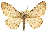  ( - CCDB-20807-C03)  @14 [ ] CreativeCommons - Attribution (2013) CBG Photography Group Centre for Biodiversity Genomics