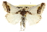  ( - CCDB-20810-B01)  @14 [ ] CreativeCommons - Attribution (2013) CBG Photography Group Centre for Biodiversity Genomics