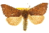  ( - CCDB-20810-C10)  @11 [ ] CreativeCommons - Attribution (2013) CBG Photography Group Centre for Biodiversity Genomics