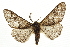  ( - CCDB-20811-C08)  @14 [ ] CreativeCommons - Attribution (2013) CBG Photography Group Centre for Biodiversity Genomics