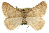  ( - CCDB-20811-G02)  @11 [ ] CreativeCommons - Attribution (2013) CBG Photography Group Centre for Biodiversity Genomics