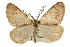  ( - CCDB-20811-G05)  @11 [ ] CreativeCommons - Attribution (2013) CBG Photography Group Centre for Biodiversity Genomics