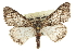  ( - CCDB-20811-H02)  @14 [ ] CreativeCommons - Attribution (2013) CBG Photography Group Centre for Biodiversity Genomics