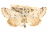  ( - CCDB-20812-E10)  @11 [ ] CreativeCommons - Attribution (2013) CBG Photography Group Centre for Biodiversity Genomics