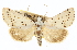  ( - CCDB-20812-E11)  @11 [ ] CreativeCommons - Attribution (2013) CBG Photography Group Centre for Biodiversity Genomics