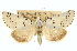  ( - CCDB-20812-E12)  @11 [ ] CreativeCommons - Attribution (2013) CBG Photography Group Centre for Biodiversity Genomics
