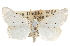  ( - CCDB-20812-F01)  @11 [ ] CreativeCommons - Attribution (2013) CBG Photography Group Centre for Biodiversity Genomics