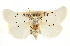  ( - CCDB-20812-F03)  @11 [ ] CreativeCommons - Attribution (2013) CBG Photography Group Centre for Biodiversity Genomics