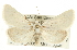  ( - CCDB-20812-F07)  @14 [ ] CreativeCommons - Attribution (2013) CBG Photography Group Centre for Biodiversity Genomics